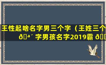 王性起啥名字男三个字（王姓三个 🪴 字男孩名字2019霸 🌳 气）